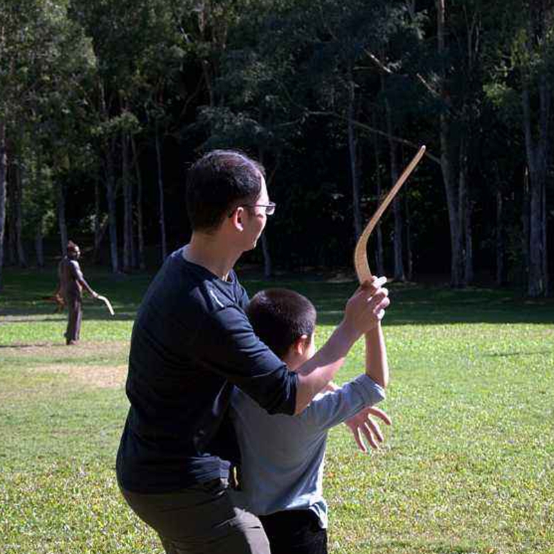 Boomerang-Disque Volant Profes - Outdoor Adventure Game avis et prix